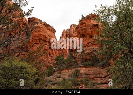 Sedona liegt im Inneren des Kaparrals, halbwüstenartigen Graslands, dem Great Basin Conifer Forest Biomen im Norden Arizonas. Dies ist ein Beispiel für ... Stockfoto