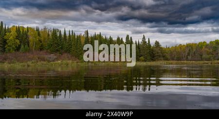 Farbenfrohe Wälder entlang eines ruhigen Sees im Herbst unter Sturmwolken; Lake of the Woods, Ontario, Kanada Stockfoto