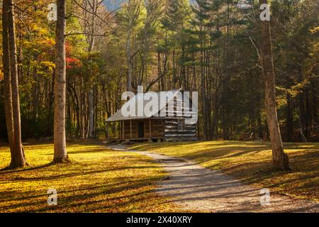 Carter schirmt Kabine. Historisches Haus in Cades Cove, Great Smoky Mountains Nationalpark. Townsend, Tennessee, USA. Stockfoto