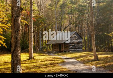 Carter schirmt Kabine. Historisches Haus in Cades Cove, Great Smoky Mountains Nationalpark. Townsend, Tennessee, USA. Stockfoto