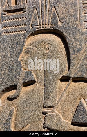 Hieroglyphen am Luxor-Tempel in Ägypten. Luxor Temple Egypt war das Haus von Amon-Ra, einem altägyptischen Diabetiker; Ägypten Stockfoto