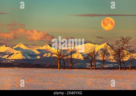 Schneebedeckte Bergkette reflektiert warmes Licht bei Sonnenaufgang mit warmem, glühendem Vollmond, Wolken am blauen Himmel und einem schneebedeckten Feld und Baum... Stockfoto