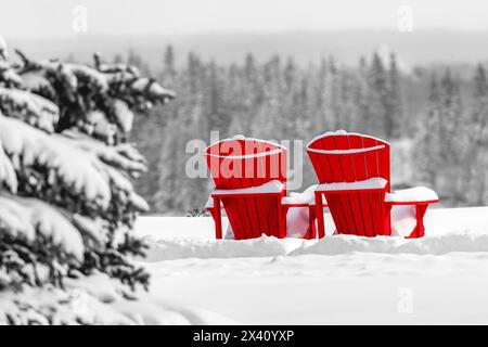 Zwei hellrote Adirondack-Stühle mit Schnee bedeckt, vor einer schneebedeckten Szene mit einem immergrünen Hügel im Hintergrund Stockfoto