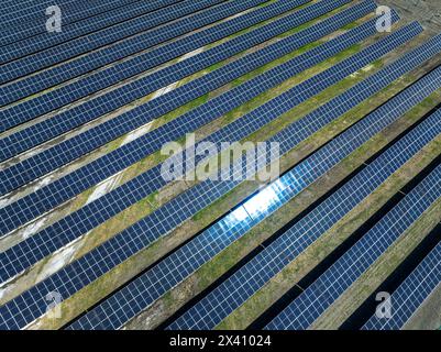 Nahaufnahme von Reihen von Solarpaneelen in einem Feld; High River, Alberta, Kanada Stockfoto