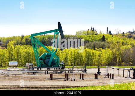 Pumpjack mit Pipelines und einem Baumhang im Hintergrund; Longview, Alberta, Kanada Stockfoto