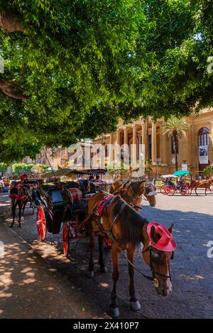 Pferdekutsche vor dem Opernhaus Teatro Massimo in der Altstadt von Palermo, Sizilien, Italien; Palermo, Sizilien, Italien Stockfoto