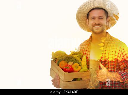 Doppelbelichtung von Landwirt und Sonnenblumenfeld auf weißem Hintergrund Stockfoto