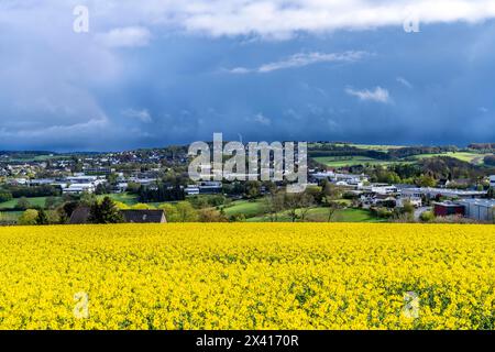 Blick über Breckerfeld, im Südosten des Ruhrgebiets, gehört zum Landkreis Ennepe-Ruhr, Rapsfeld, NRW, Deutschland, Stockfoto