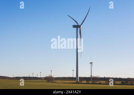 Ein Windpark mit mehreren Windturbinen auf einem Feld. Der Himmel ist klar und blau, und die Sonne scheint hell Stockfoto