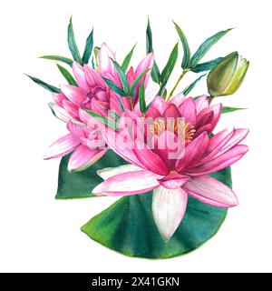 Rosa Blumen, grüne Blätter, Knospen einer chinesischen Seerose und ein Bambuszweig. Handgezeichnete Aquarellillustration exotischer Lotus. Stockfoto