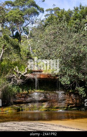 Collins Flat Beach am North Head Manly ist der einzige Strand am Hafen mit einem Wasserfall, Sydney, NSW, Australien, Herbst 2024 Stockfoto