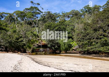 Collins Flat Beach am North Head Manly ist der einzige Strand am Hafen mit einem Wasserfall, Sydney, NSW, Australien, Herbst 2024 Stockfoto