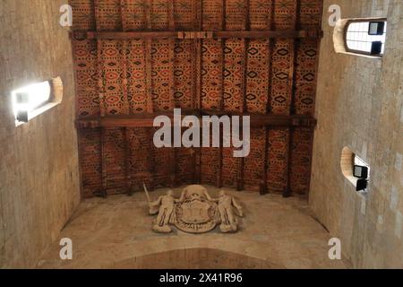 Deckendekoration in der Kathedrale von Teramo, Italien. Duomo di Teramo, Cattedrale di Santa Maria Assunta Stockfoto