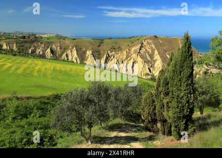 Badlands 'Calanchi delle Pullette', in der Nähe von Montepagano, Roseto degli Abruzzi, Abruzzen, Italien Stockfoto