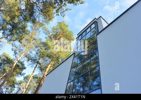 Kiefern spiegeln sich in den Fenstern der Meisterhausfenster in Dessau Stockfoto