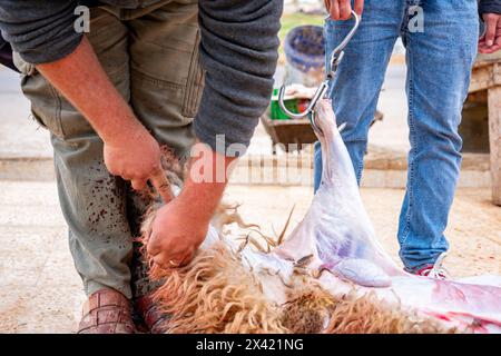 Ein geschlachtetes Schaf, das anlässlich des muslimischen Hilfsfestes El Adha auf dem Boden gehäutet wird. Ein Schlachtmesser auf dem Boden und ein Stockfoto