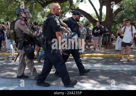 Texas, USA. April 2024. Die Polizei verhaftete einen Demonstranten in einem Lager an der University of Texas. Austin, Texas. Mario Cantu/CSM/Alamy Live News Stockfoto