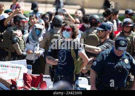 Texas, USA. April 2024. Die Polizei verhaftete einen Demonstranten in einem Lager an der University of Texas. Austin, Texas. Mario Cantu/CSM/Alamy Live News Stockfoto