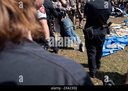 Texas, USA. April 2024. Die Polizei verhaftete einen Demonstranten in einem Lager an der University of Texas. Austin, Texas. Mario Cantu/CSM/Alamy Live News Stockfoto