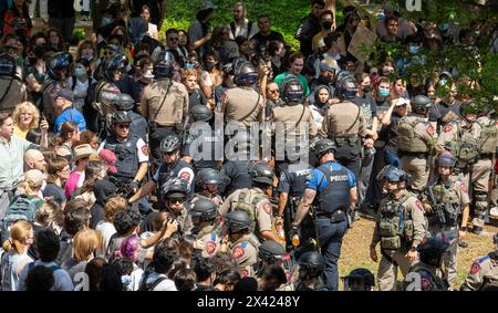 Austin, Tx, USA. April 2024. Die Polizei verhaftet pro-palästinensische Demonstranten, als die Universität von Texas in Austin am dritten Tag in Folge von Demonstrationen erschüttert wird, als Dutzende von Studenten und Unterstützern versuchten, eine Zeltstadt auf dem South Lawn zu errichten, 29. April 2024. Texas DPS, Austin Police und UT Police berichteten, dass sie zumindest Demonstranten wegnahmen und die Website räumen (Credit Image: © Bob Daemmrich/ZUMA Press Wire) NUR REDAKTIONELLE VERWENDUNG! Nicht für kommerzielle ZWECKE! Quelle: ZUMA Press, Inc./Alamy Live News Stockfoto