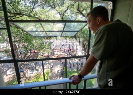 Austin, Texas, USA. April 2024. Ein Student beobachtet aus einem Klassenzimmer, wie die Polizei pro-palästinensische Demonstranten an der University of Texas in Austin festnimmt. Der Campus wurde an einem dritten Tag in Folge von Demonstrationen erschüttert, als Dutzende Studenten und Unterstützer versuchten, eine Zeltstadt auf dem South Lawn zu errichten. Texas State Troopers und Austin und Campus Polizisten verhafteten Dutzende Demonstranten und räumten das Lager weg. Quelle: Bob Daemmrich/Alamy Live News Stockfoto