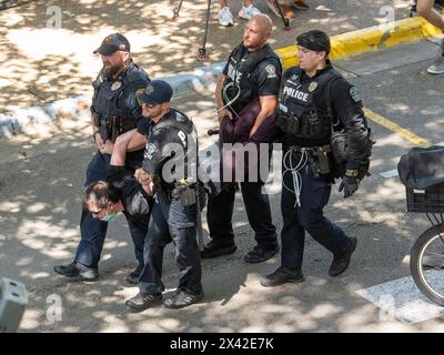 Austin, Texas, USA, 29. April 2024: Die Polizei verhaftet einen pro-palästinensischen Demonstranten, während die University of Texas in Austin an einem dritten Tag in Folge von Demonstrationen erschüttert wird. Dutzende Studenten und Unterstützer wurden verhaftet, als sie versuchten, eine Zeltstadt in der Nähe des Hauptverwaltungsgebäudes zu errichten. Quelle: Bob Daemmrich/Alamy Live News Stockfoto