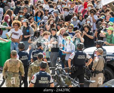 Austin, Texas, USA. April 2024. Die Polizei zieht ein, als sie versucht, wütende Menschenmassen zu kontrollieren und pro-palästinensische Demonstranten zu verhaften, während die University of Texas in Austin einen dritten Tag in Folge von Demonstrationen erschüttert wird, als Dutzende Studenten und Unterstützer versuchten, eine Zeltstadt auf dem South Lawn zu errichten. Texas DPS, Austin Polizei und UT Polizei berichteten, dass sie zumindest Demonstranten wegnahmen und die Stätte räumten. (Kreditbild: © Bob Daemmrich/ZUMA Press Wire) NUR REDAKTIONELLE VERWENDUNG! Nicht für kommerzielle ZWECKE! Stockfoto