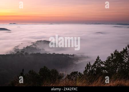 Der Sonnenaufgang mit schönen Farben im Hochland in Dalat Vietnam. Sonnenaufgang mit Nebel am frühen Morgen. Unter bewölktem Nebel bedeckte Täler überschwemmten Kiefer für Stockfoto