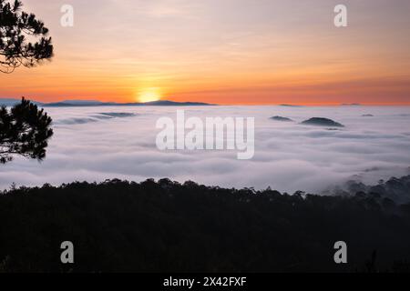 Der Sonnenaufgang mit schönen Farben im Hochland in Dalat Vietnam. Sonnenaufgang mit Nebel am frühen Morgen. Unter bewölktem Nebel bedeckte Täler überschwemmten Kiefer für Stockfoto