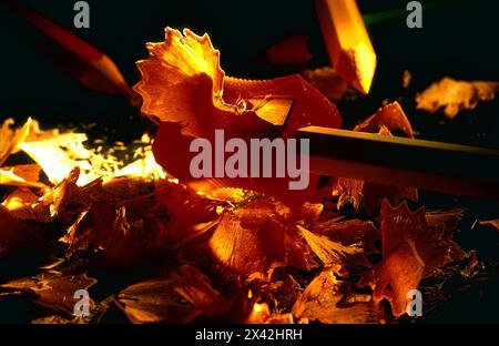 Bleistiftspitzer mit Bleistift- und Bleistiftspänen bei Umgebungslicht Stockfoto