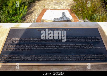 Gallipoli war Monument mit einer Gedenktafel, die die Schlacht von Lone Pine im August 1915 beschreibt, Memorial Walk North Head Manly, Sydney, Australien Stockfoto