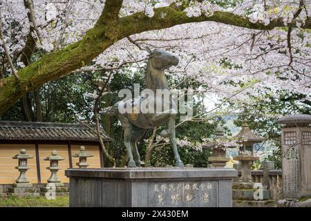 Monument im Konpira-Schrein ( alias Konpira-san oder Kotohira-Gu ). Die Kirschblüten blühen im Frühjahr in voller Blüte. Kotohira, Kagawa, Japan. Stockfoto