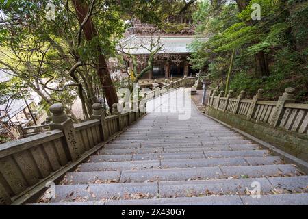 Konpira-Schrein ( alias Konpira-san oder Kotohira-Gu ) Steintreppen. Die Kirschblüten blühen im Frühjahr in voller Blüte. Kotohira, Kagawa, Japan. Stockfoto