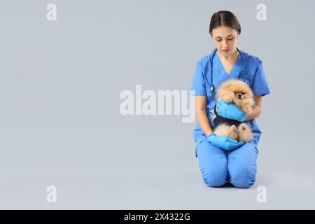 Tierarzt mit Pommerschen Hund im Genesungsanzug nach Sterilisation auf hellem Hintergrund Stockfoto
