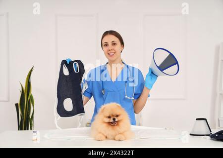 Tierärztin mit Genesungsanzug, Kegel und Pommerschen Hund nach Sterilisation in der Klinik Stockfoto