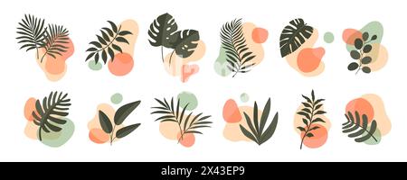 Abstrakte Boho-Blatt- und pflanzliche organische Formen, Vektor-florale minimalistische Kunst Set. Sommer-Naturdrucke mit geometrischem Dekor, tropischen Areca-Palmen, Monstera- und Philodendron-Blättern-Silhouetten Stock Vektor