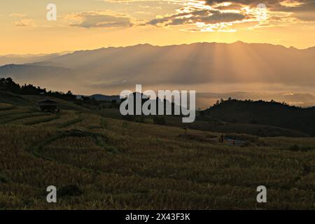 Malerische Aussicht auf den Sonnenuntergang auf Ban Pa Pong Piang, die schönsten Reisterrassen in der Provinz Chiang Mai, Thailand Stockfoto