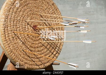 Strohbogenschießziel Mit Pfeilen Stockfoto