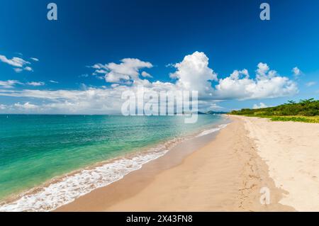 Der kilometerlange Pinney's Beach mit Blick auf das Karibische Meer. Nevis, St. Kitts und Nevis, Westindien. Stockfoto