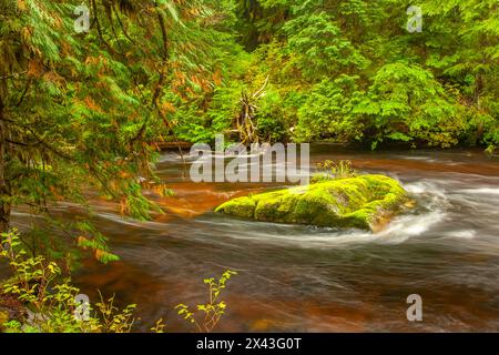 Kanada, British Columbia, Inside Passage. Fluss und Wald in Hartley Bay. Stockfoto