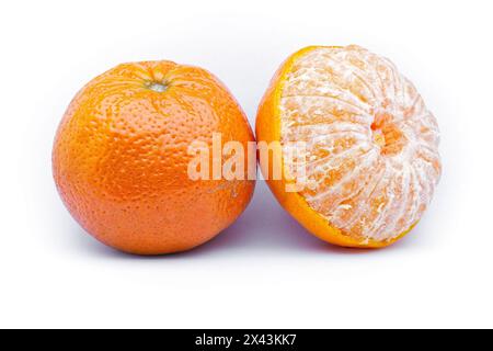Mandarin (Citrus reticulata), Rutaceae. Auch bekannt als Mandarinen oder Clementinen. Früchte auf weißem Hintergrund. Stockfoto