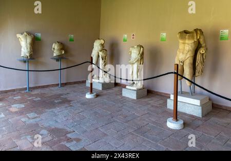 Klassische Skulpturen Statuen im Archäologiemuseum, im Archäologischen Park Apollonia, Pojan, Albanien Stockfoto