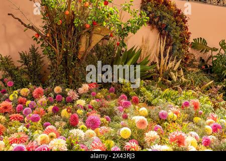 Floral Display, Melbourne International Flower Show 2024, Carlton, Victoria, Australien Stockfoto