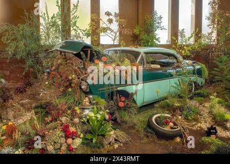 Floral Display, Melbourne International Flower Show 2024, Carlton, Victoria, Australien Stockfoto