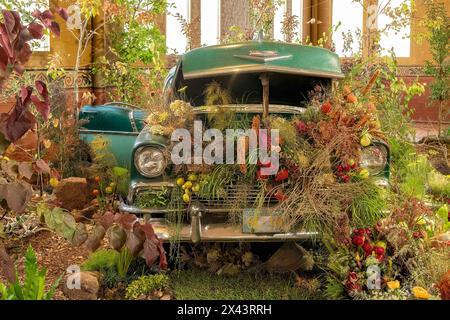 Floral Display, Melbourne International Flower Show 2024, Carlton, Victoria, Australien Stockfoto