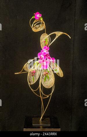 2. Preis, Floral Display, Melbourne International Flower Show 2024, Carlton, Victoria, Australien Stockfoto