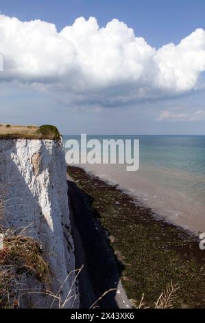 Dramatische Aussicht von der Klippe des Saxon Shore Way, zwischen Kingsdown und St. Margret's Bay, Kent. Stockfoto