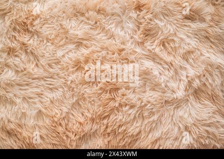 Hintergrundbild eines weichen, beigefarbenen Teppichs. Wollschaf-Fleece mit Nahaufnahme Textur Hintergrund. Fellstoff in beigefarbener Farbe. Draufsicht. Hochwertiges Foto Stockfoto