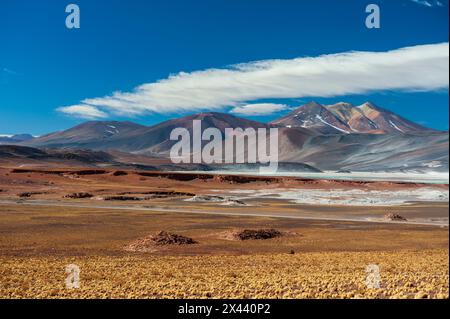 Eine Landschaft der chilenischen Anden und Salar de Talar, auf einer Höhe von 4.000 Metern über dem Meeresspiegel. Salar de Talar, Atacamawüste, Antofa Stockfoto