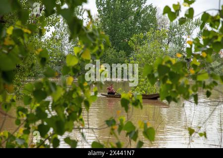 Srinagar, Indien. April 2024 30. Ein Junge, der sein Boot lenkte, als der Wasserstand im Jhelum am Dienstagmorgen in Srinagar die „Hochwasserdeklaration“-Markierung überschritt. In Jammu und Kaschmir wird erwartet, dass sich das Wetter ab morgen verbessern wird, wobei die örtliche Wetterabteilung bis zum 5. Mai allgemein bewölkte Bedingungen vorhersagt. Quelle: SOPA Images Limited/Alamy Live News Stockfoto